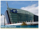 Georgia-Aquarium