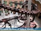 Fernbank-Museum